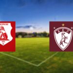 Πανσερραϊκός - ΑΕΛ